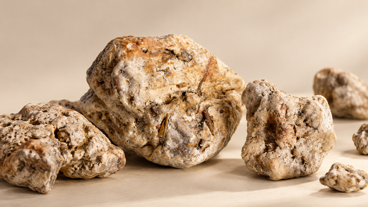What Does Ambroxan Smell Like? The Molecule Behind Ambergris