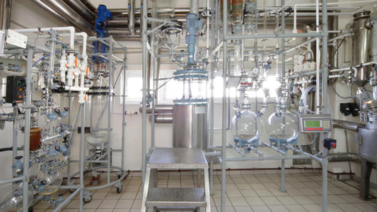Essential oils extracted by steam distillation