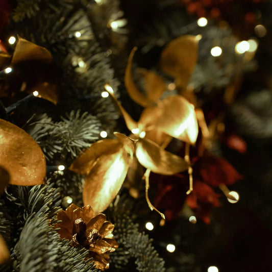 How to Gift Fragrance this Christmas: A Festive EPC Gift Guide