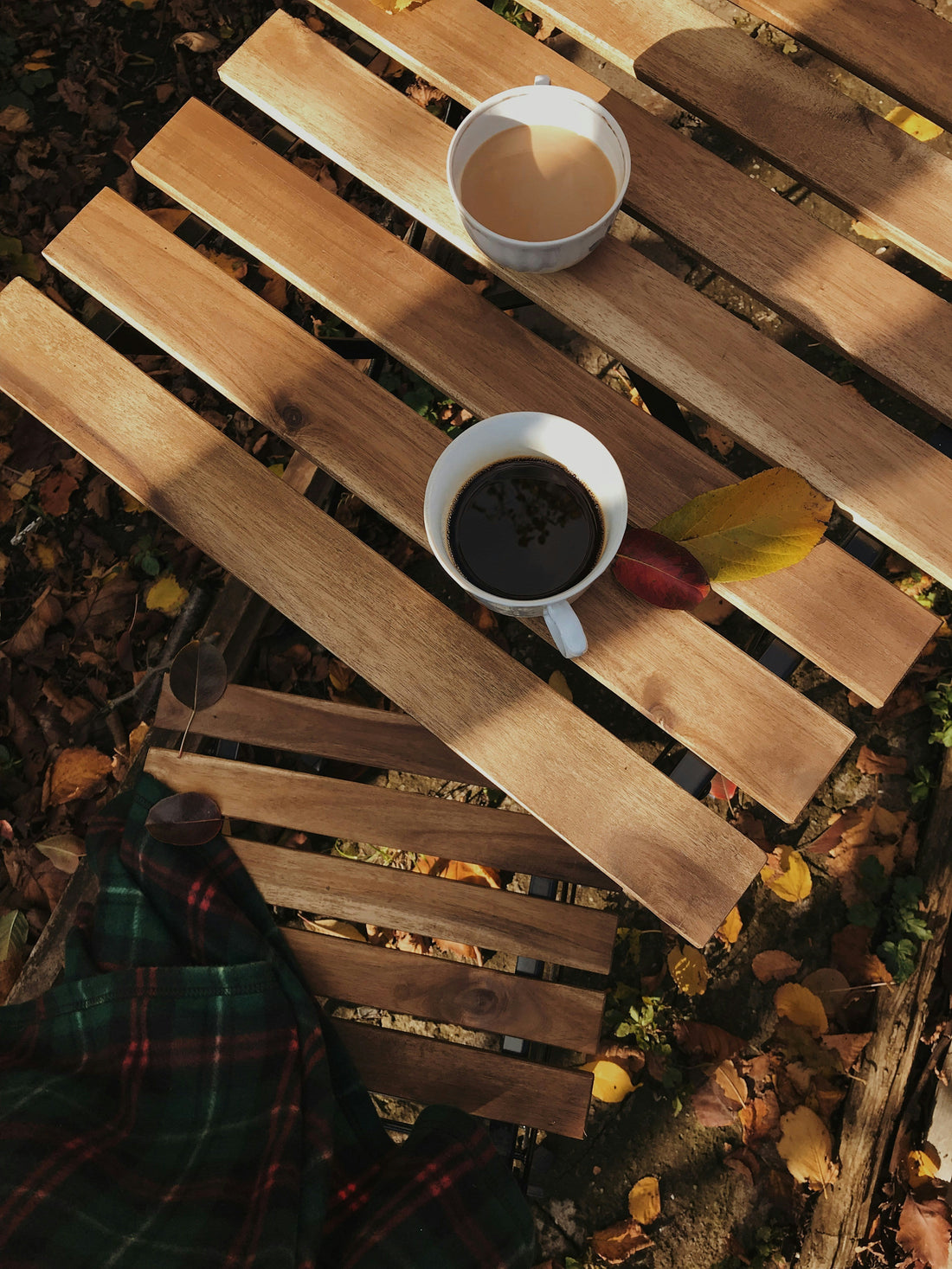 What Makes a Scent Feel ‘Cosy’?