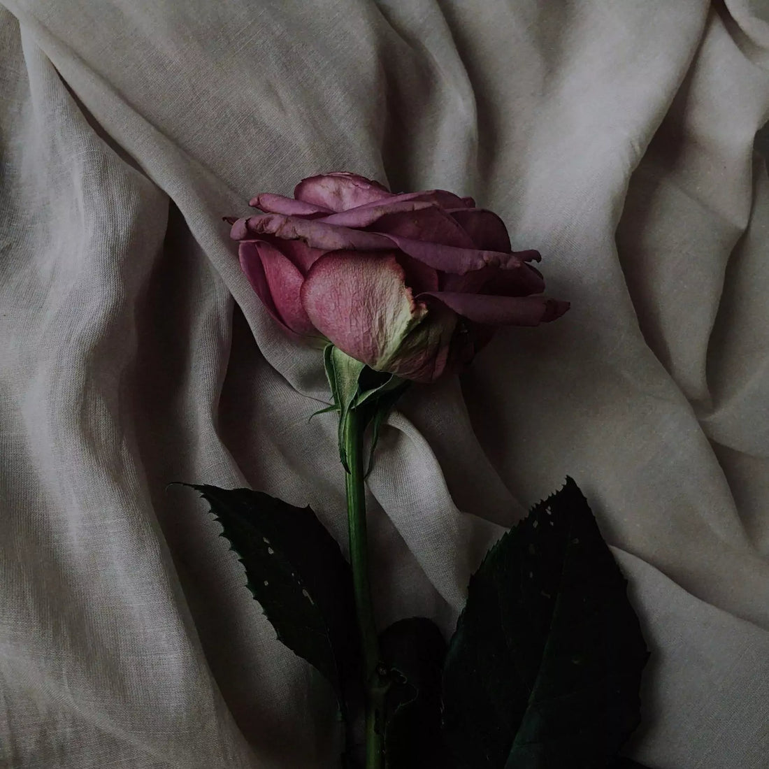 A Signature Scent is a Symbol of Love