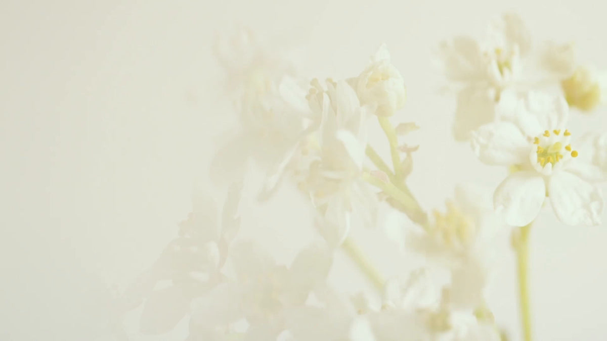 Skin Scent