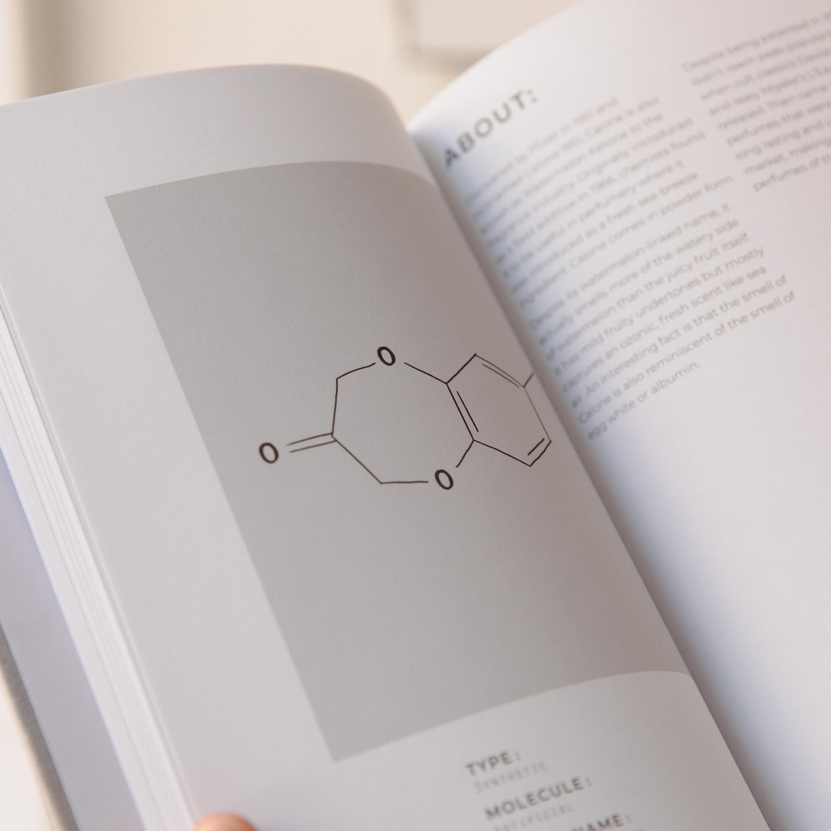 Perfumer Book EPC