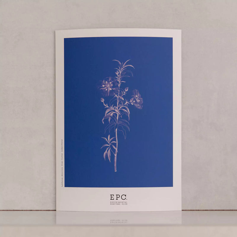 Set only or Set + Gift Card (save 20% on the full-size bottle)