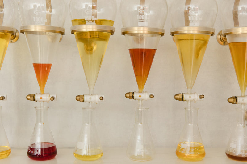 Sustainability & Transparency