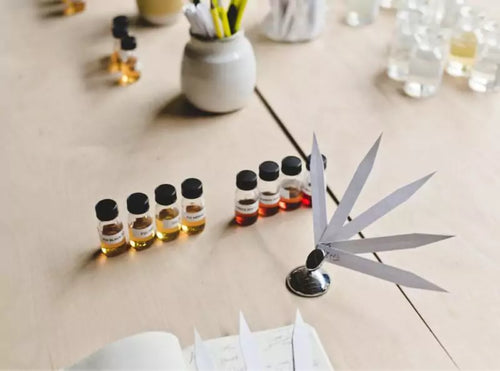 Create Parfume Create Your Own Custom Perfume | Experimental Perfume Club